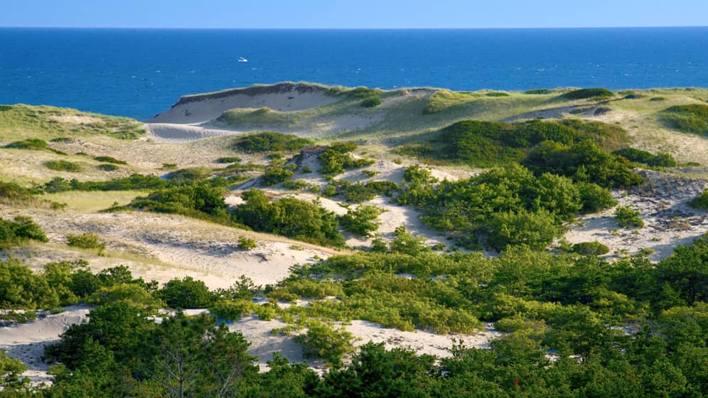 tour ideas tranquil provincetown dunes