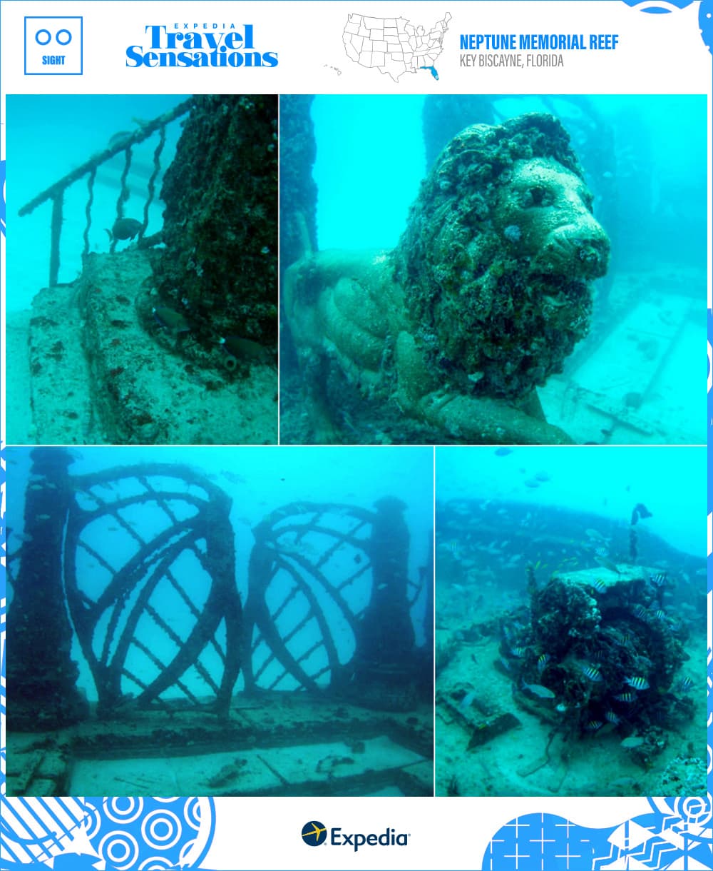 underwater photos of Neptune Memorial Reef statues and fish