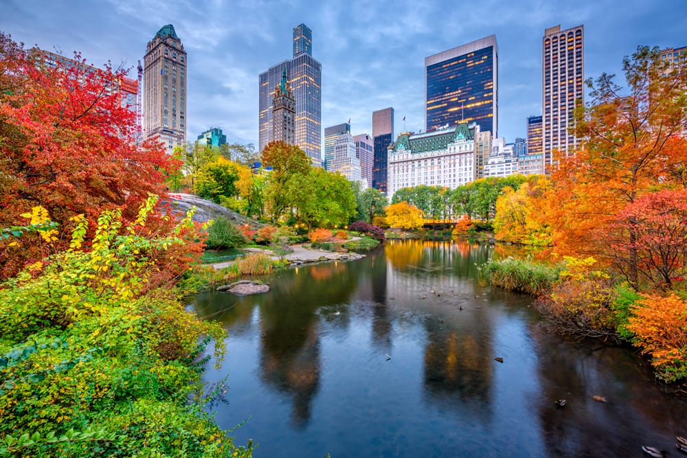 Fall in NYC--travel tip: It's the best time of year to visit