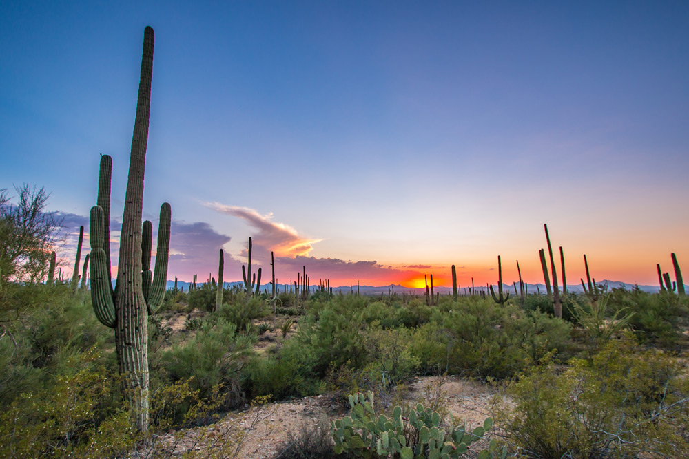 Colorful sunset in the desert near trails to hikes while on staycation in Tucson, Arizona