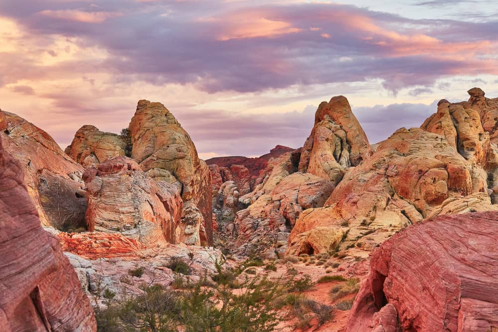 rock formations appear pink at sunset in valley of fire las vegas