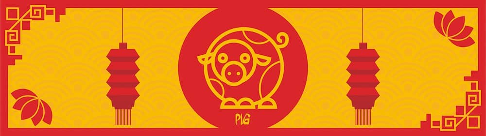 Where to go based on the Chinese zodiac if you're a pig