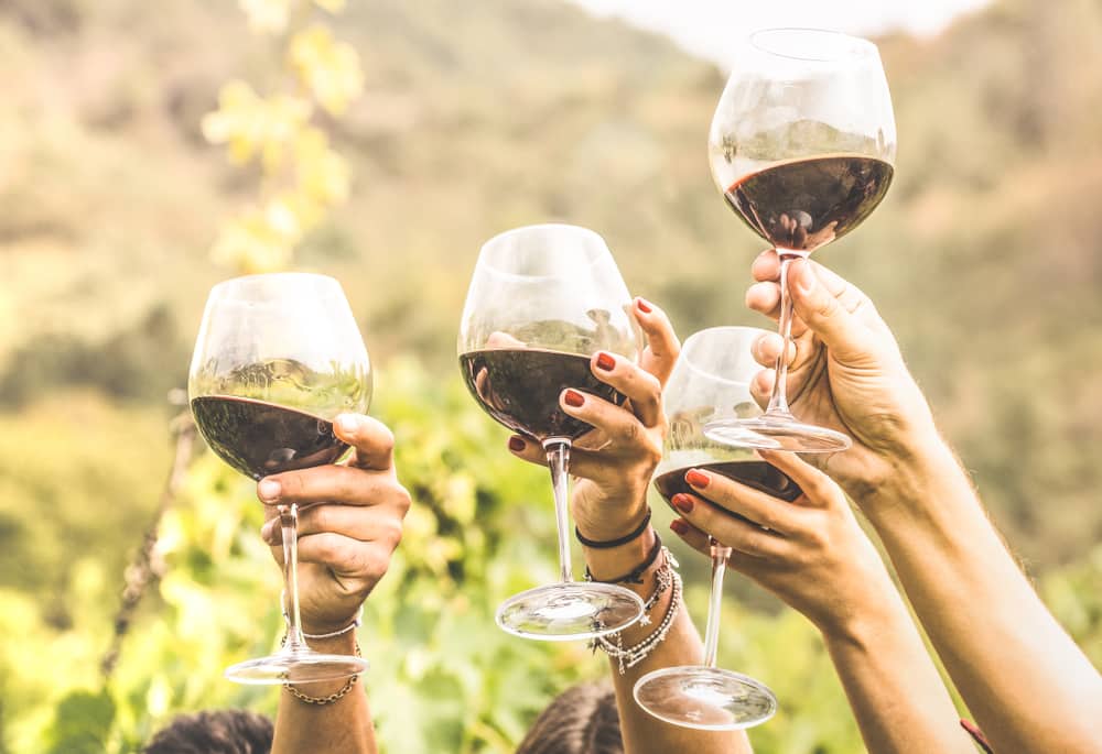 Friends cheersing with red wine at wine tasting in vineyard