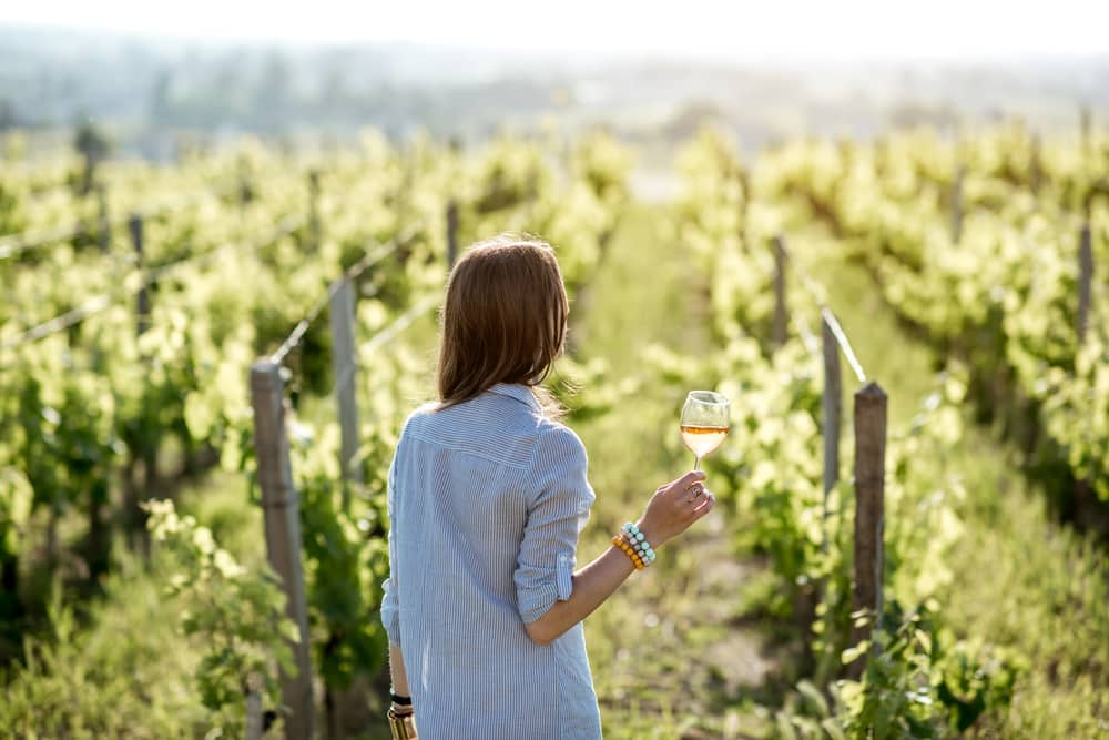 Woman drinking wine in vineyard at wine tasting