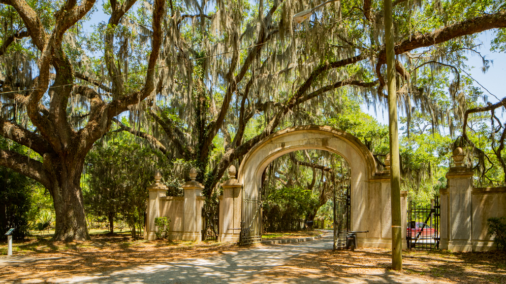 Wormsloe Historic Site - Savannah, USA