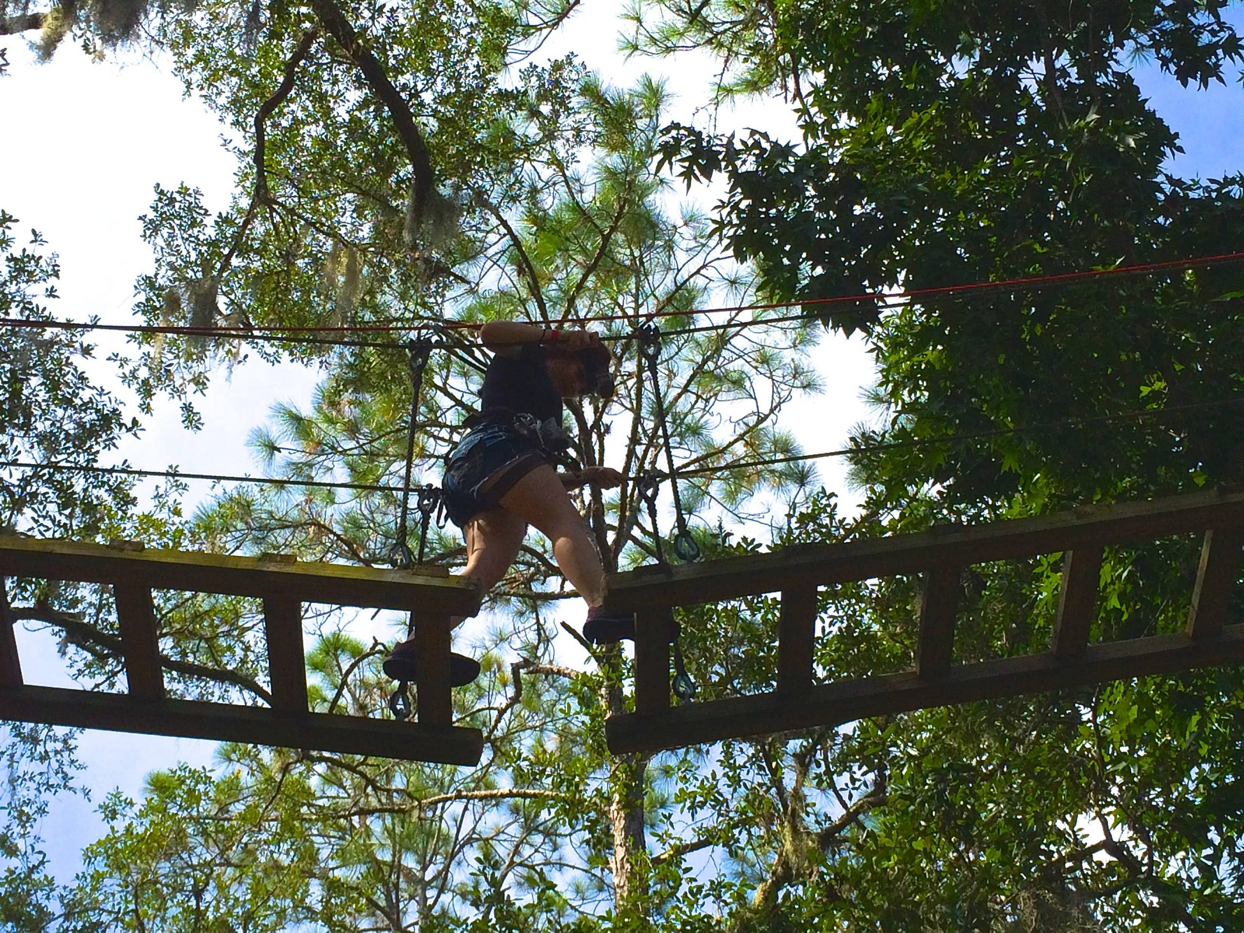 zipline